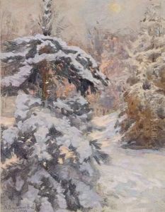 Foret De Sapins Sous La Neige, Lumiere Du Soir