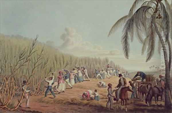 Slaves Fell the Ripe Sugar Antigua - view 1