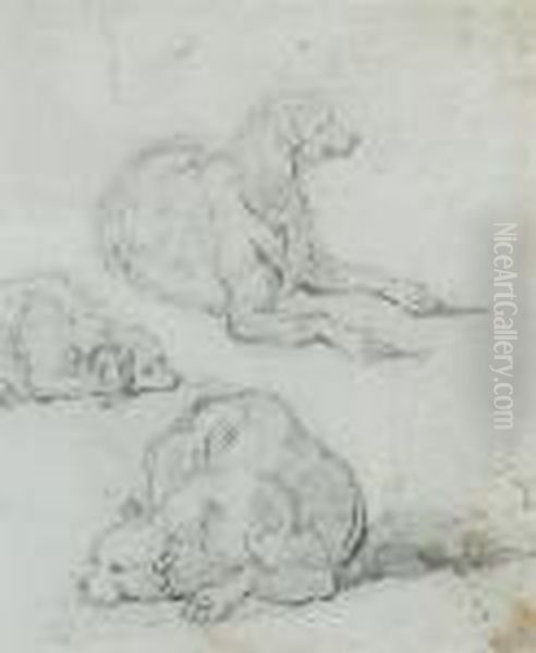 A Study Of A Dog - view 1