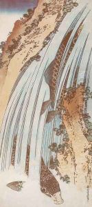 Carp in a Waterfall