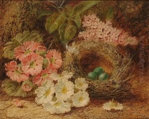 Primroses And A Birds Nest On A Mossy Bank by Oliver Clare