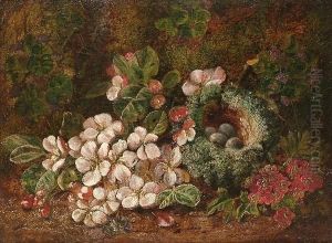 Still Life Of Flowers And A Birds Nest