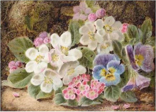 Primroses - view 1
