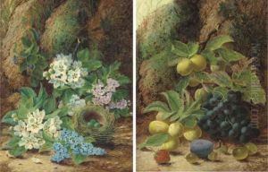 Primroses And Apple Blossom, A 
Bird's Nest With Eggs, On A Mossy Bank; And Grapes, Plums, Gooseberries,
 A Plum And A Strawberry, On A Mossy Bank by Oliver Clare