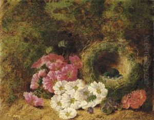 Pink, Red, White And Purple Violets by Oliver Clare