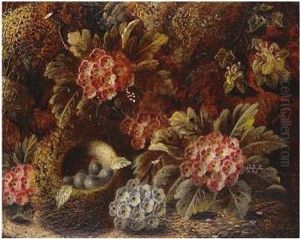 Still Life Of Bird's Nest And
Flowers; Still Life With Fruit, Both Signed, Oil On Board, Each 17 X
21.5 Cm.; 6 3/4 X 8 1/2 In by Oliver Clare