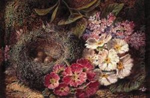 A Still Life Of Primula And Bird's Nest