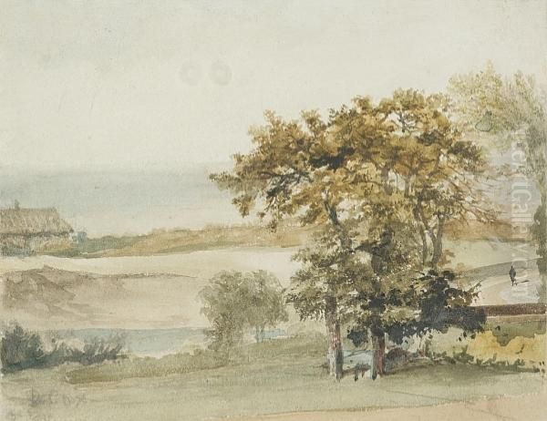 Costal Landscape With A Stand Of Trees - view 1