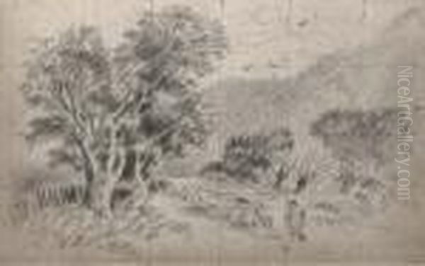 A Shepherd And His Flock - view 1