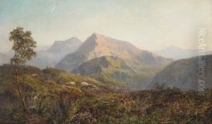 Sheep In A Highland Landscape, Evening by Alfred de Breanski