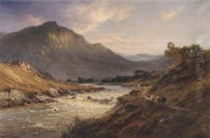 Summer In The Highlands