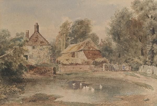 A Farmstead With Ducks On A Pond - view 1