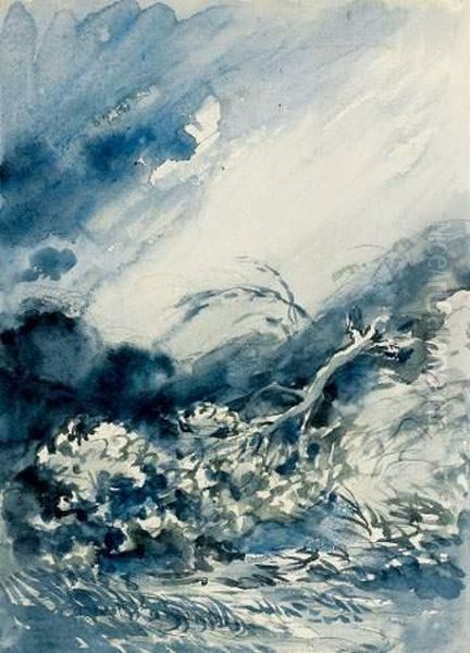 L'arbre Arrache - view 1