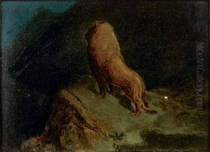 Un Lion Dans La Montagne by Gustave Dore