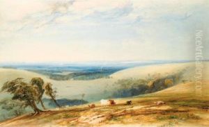 Bow Hill On The Sussex Downs, Chichester And The Isle Of Wight Beyond