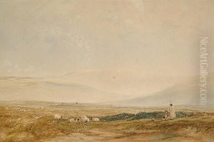 Rural Landscape Rural Landscape