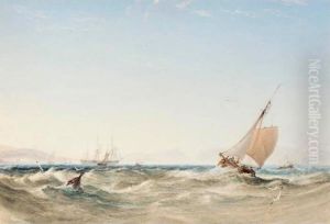Shipping Off The Coast thumbnail