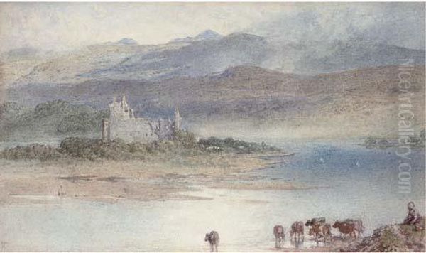 Cattle Watering On A Scottish Loch - view 1