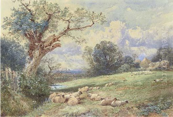 Sheep Resting Beneath A Tree, With Harvesters Beyond - view 1