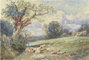 Sheep Resting Beneath A Tree, With Harvesters Beyond by Myles Birket Foster