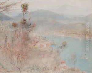 A View Of Grenada, West Indies