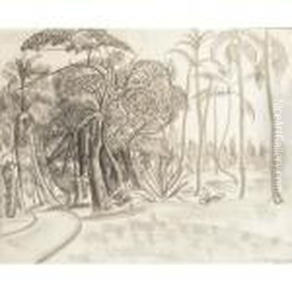 A Forest In Florida - view 1