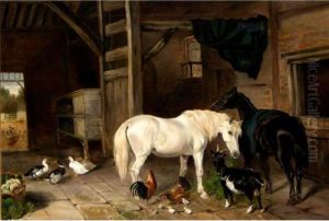 Stable Friends