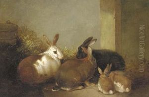 Rabbits In A Barn by John Frederick Herring Snr