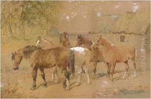 Horses Grazing Horses Grazing