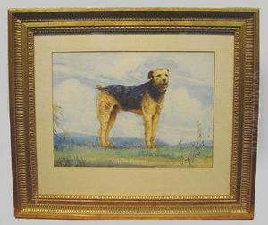 'nicky', The Aristocrat, An Airedale Terrier