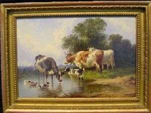 At The Watering Hole