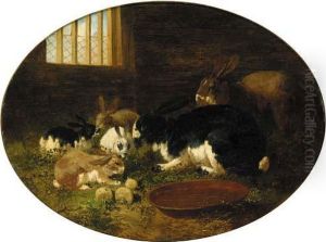 Rabbits In A Barn by John Frederick Herring Snr