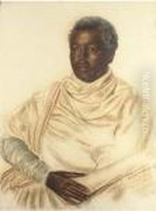 Portrait Of Bayenne Marcha Portrait Of Bayenne Marcha
