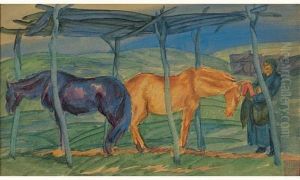 Chevaux En Mongolie
