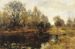 A Woodland Pool