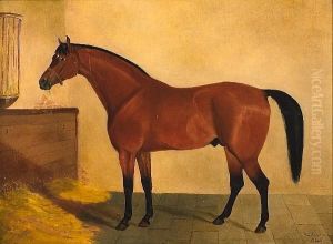 A Chestnut Hunter In A Stable