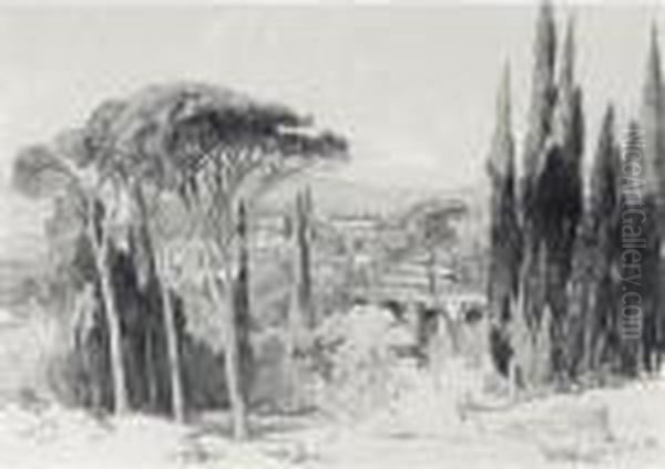 The Villa D'este, Tivoli - view 1