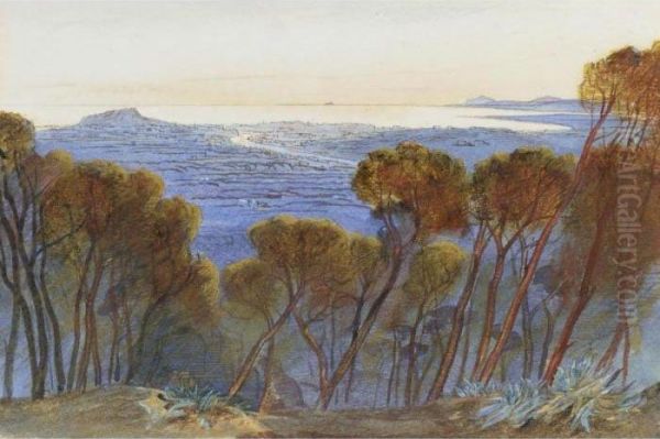 A Distant View Of Nice From The Hills - view 1