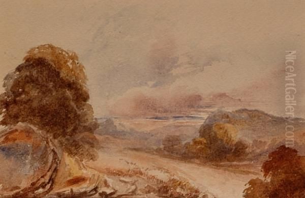 Country Landscape. - view 1