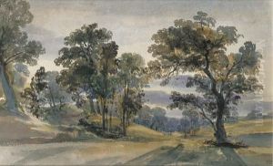 A Parkland View At Dusk