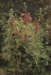 Hollyhocks Hollyhocks
