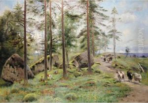 Mushroom Pickers In Finland Mushroom Pickers In Finland