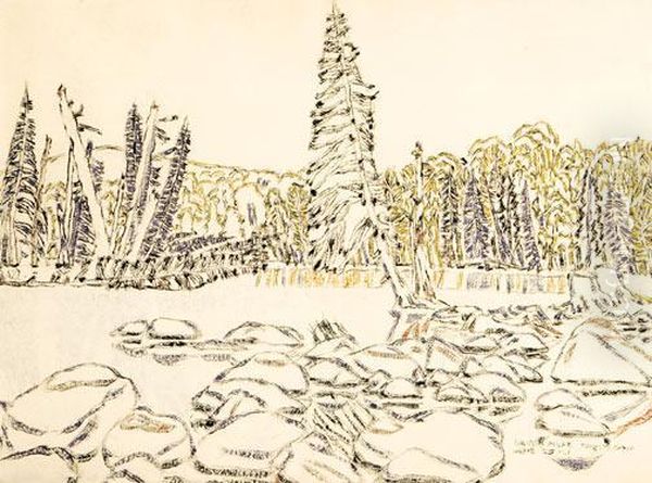 Dead Cedar - view 1
