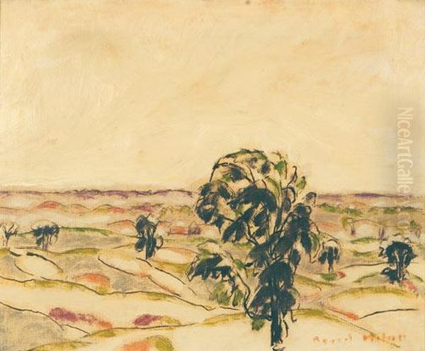 Elm Tree - view 1