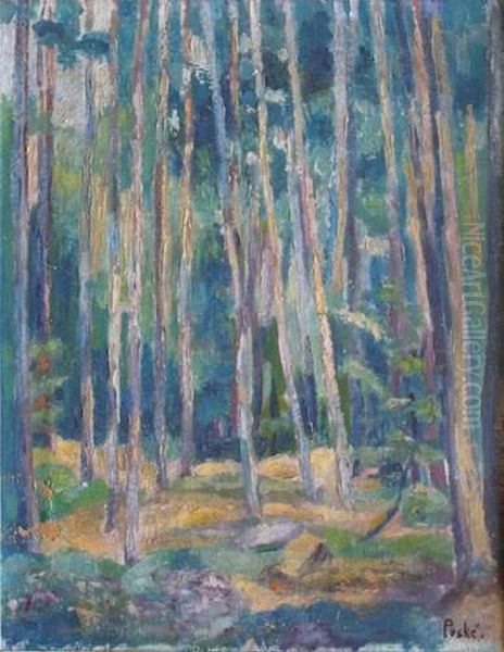 Sous-bois - view 1