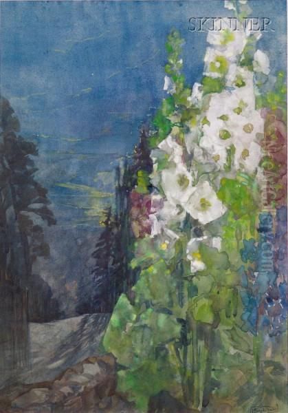 Hollyhocks - view 1
