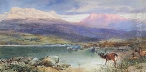 Highland Loch Landscape With Stagwatering