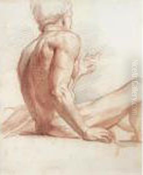 Study Of A Male Nude - view 1