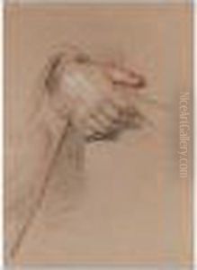 Study Of Hands