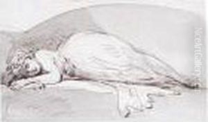A Sleeping Girl